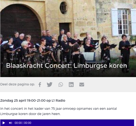 Blaaskracht Concert